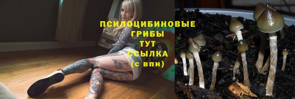 марки nbome Алзамай