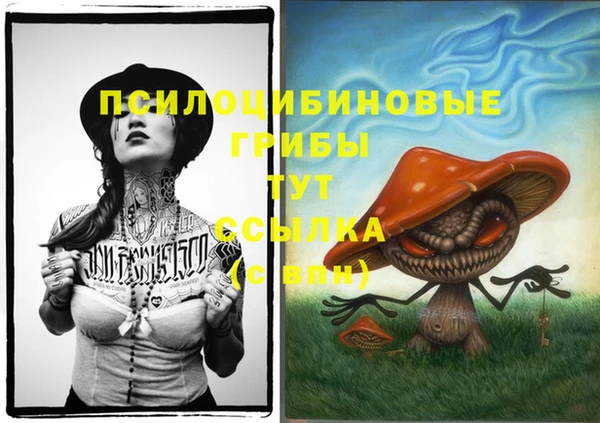 мяу мяу мука Алексин