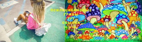 мяу мяу мука Алексин