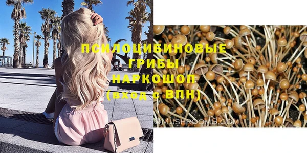 молекула духа Алексеевка