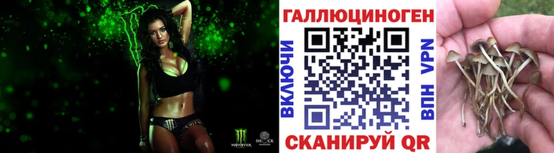 Галлюциногенные грибы Psilocybe Жуков