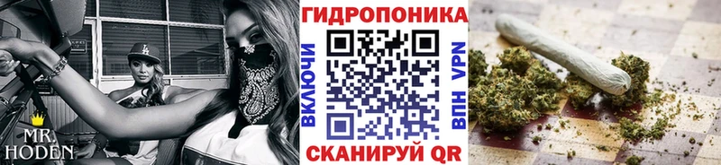 МАРИХУАНА планчик  купить   hydra ссылка  Жуков 